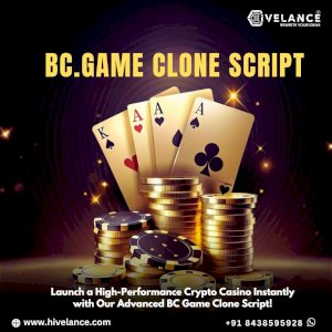 Budget-Friendly BC.Game Clone Solution for iGaming Entrepreneurs
