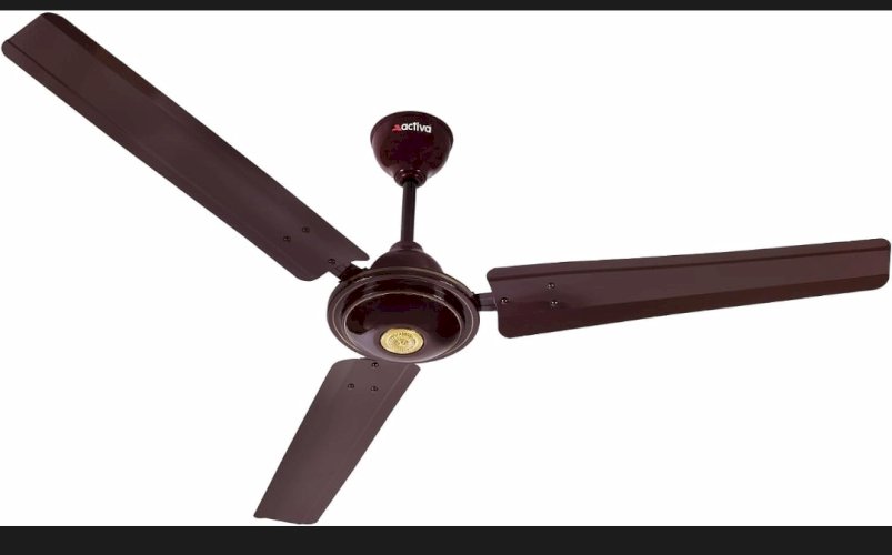 Apsara Fan