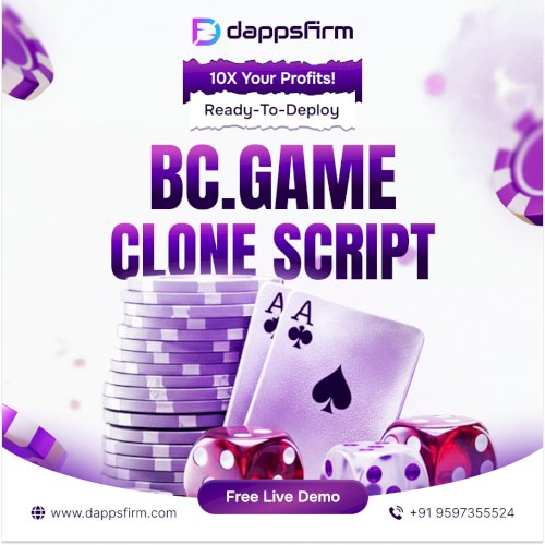 Affordable BC.Game Clone Script With Free Demo for Worldwide Users